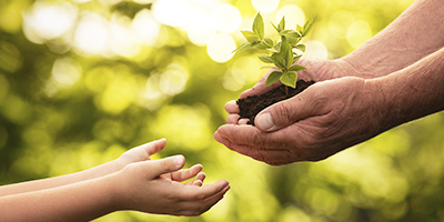 Protecting the Environment